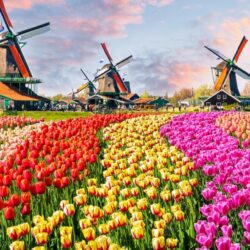 Netherlands holidays
