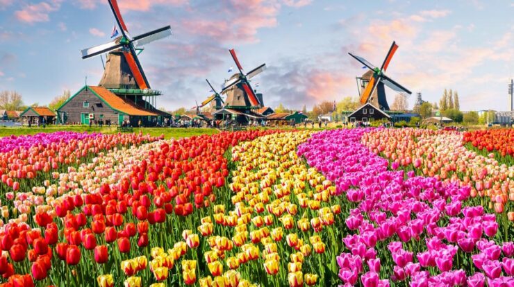 Netherlands holidays